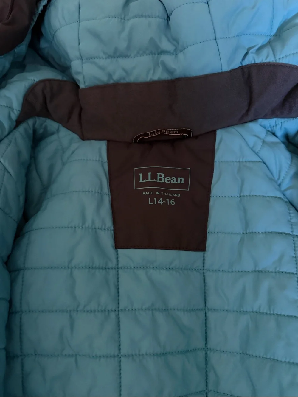 L.L.Bean Kids Waterproof Ski Jacket Blue Mountain Print Hooded Insulated L 14-16